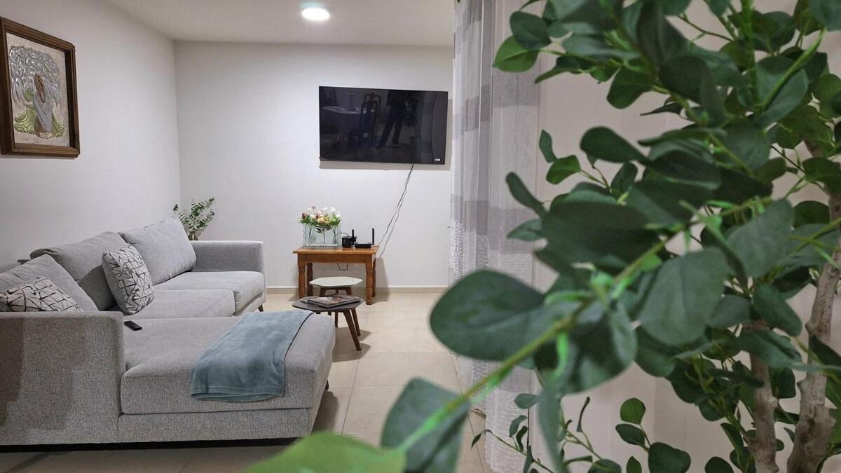 Departamento Tequis, Totalmente Nuevo En El Corazon De Slp Apartment San Luis Potosi Luaran gambar